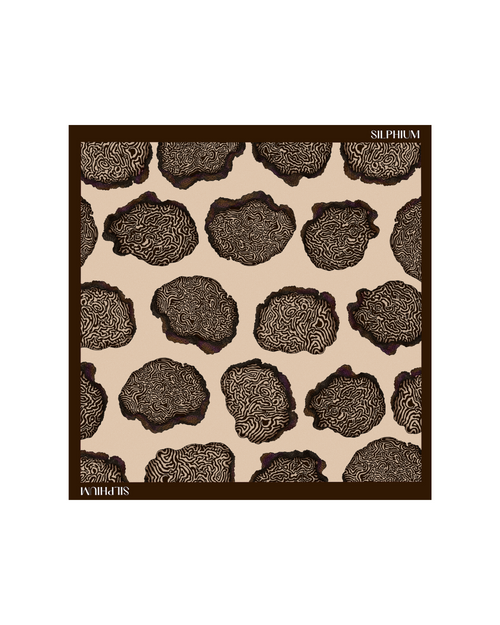 Truffle Silk Scarf