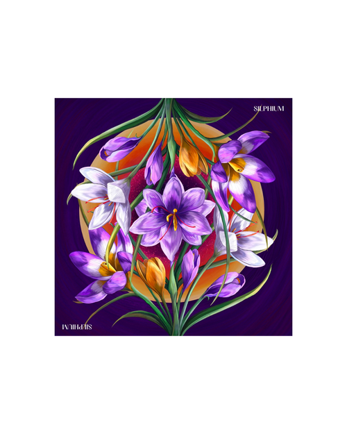 Colourful floral Silk scarf on a purple background with 'Sliphium' branding.
